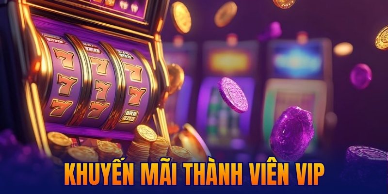 khuyến mãi thành viên VIP